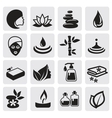 Spa icons set vector image