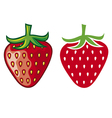 Strawberry vector image
