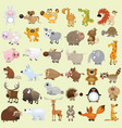 Cartoon animal set vector image