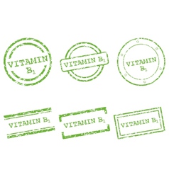 Vitamin B1 stamps vector image