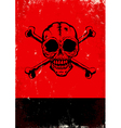Poster with the skull vector image