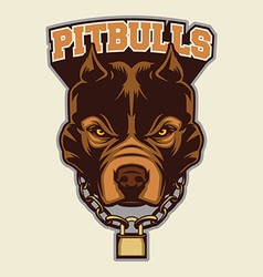Pitbull Head Macot vector image