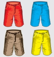 Short pant - Bermuda shorts vector image