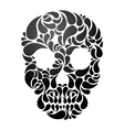 Skull vector image