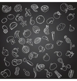 Set of fruits and vegetables icons vector image
