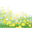 Spring flowers vector image