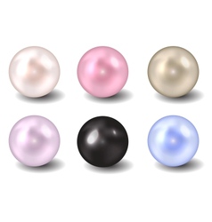 Pearl vector image