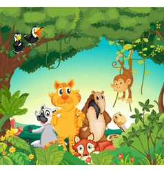 Animals in the forest vector image