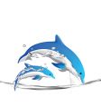 Dolphins vector image
