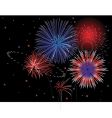 Patriotic fireworks vector image