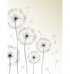 Dandelions card vector image