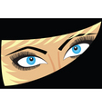Female eyes vector image