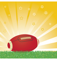 American football ball vector image