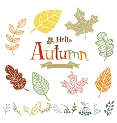 Collection of autumn leaves vector image
