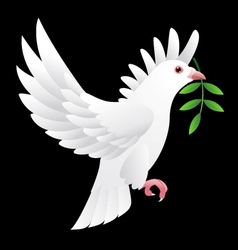 Dove flying vector image