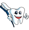 Smiling tooth with tooth-brush vector image