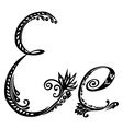 Letter E e vector image