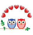 Owl valentine vector image