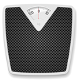 Bathroom Scale vector image
