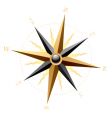 Wind rose vector image