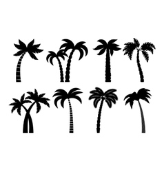 Palm tree black set vector image