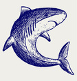 Reef Shark vector image
