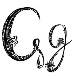 Letter G g vector image