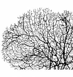 Coral vector image