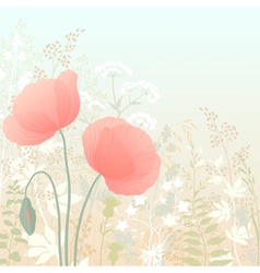 Wild poppies vector image