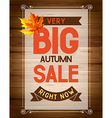 Autumn sale vector image