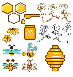 Rectangle frame with honey flowers and bees Vector Image