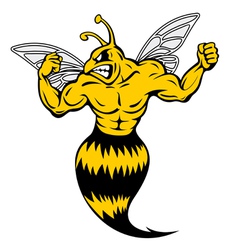 Powerful and danger yellow jacket vector image