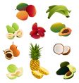 Latin american food vector image