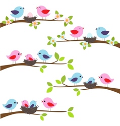 Family of birds vector image