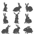 Set of rabbit icons isolated on white background Set of rabbit icons isolated on white background vector image