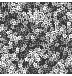Seamless small white flowers pattern background vector image