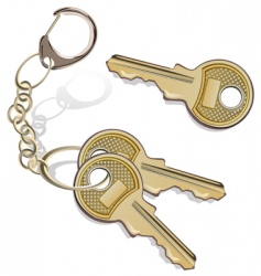 Bunch of keys vector image