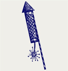 Fireworks vector image
