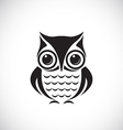 Owl vector image