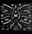 Chalkboard flower set hand drawn vintage floral vector image