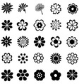 Flower set icon vector image