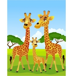 Giraffe family vector image