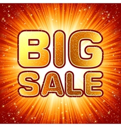 Big sale message vector image
