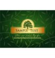 Label or menu cover vector image