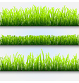 Green grass for design vector image