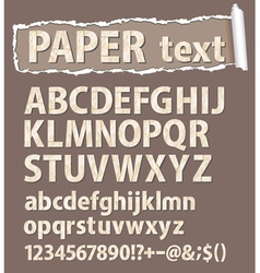 Paper font letters numbers and orthograph vector image