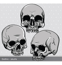 Vintage skulls set vector image