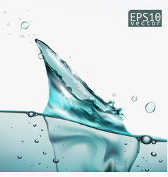 Transparent water splash with wave and bubbles vector image