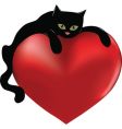 Cat and heart vector image