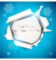 Elegant Christmas background vector image